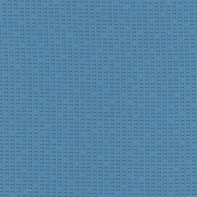 Silver State New York Bluebird